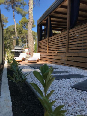 Mobile home Ani with large terrace